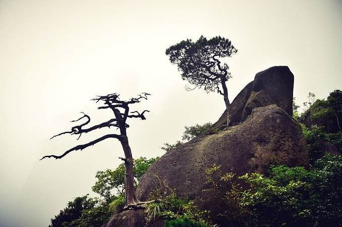 三清山 ——天下第一仙山