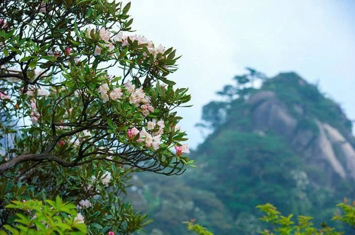 三清山 ——天下第一仙山