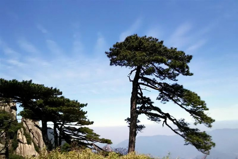 三清山 ——天下第一仙山