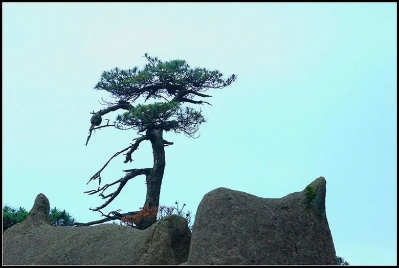 三清山 ——天下第一仙山