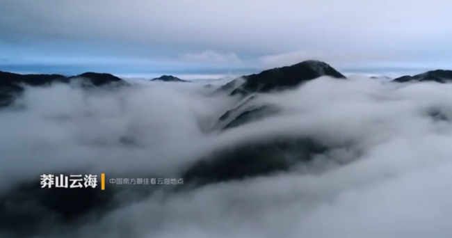 这么美的郴州看一眼就爱上，这份旅游攻略你一定要有