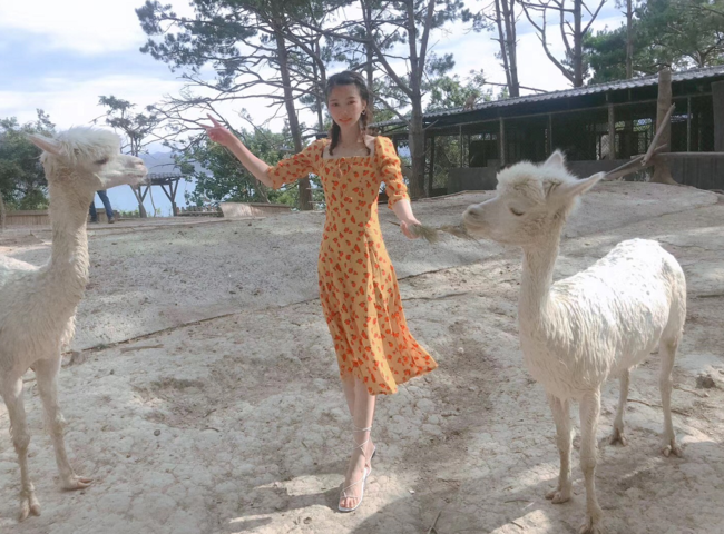 这么美的郴州看一眼就爱上,这份旅游攻略你一定要有