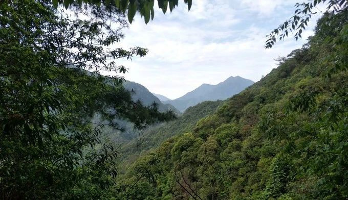 一步一景，千岛万万景，千岛湖（自驾游）2日游详细攻略