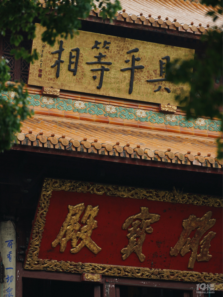【2020晒游记】杭州佛系玩法，这些地方门票十元，美食五元无限续