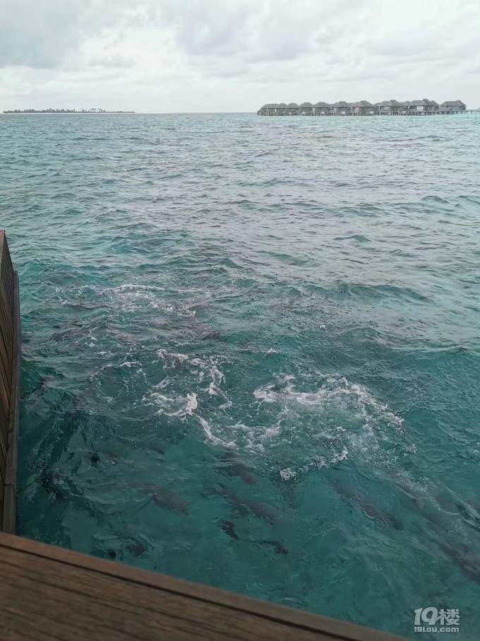 漂洋过海来麦兜的梦里遇见你—马尔代夫JA玛娜法鲁