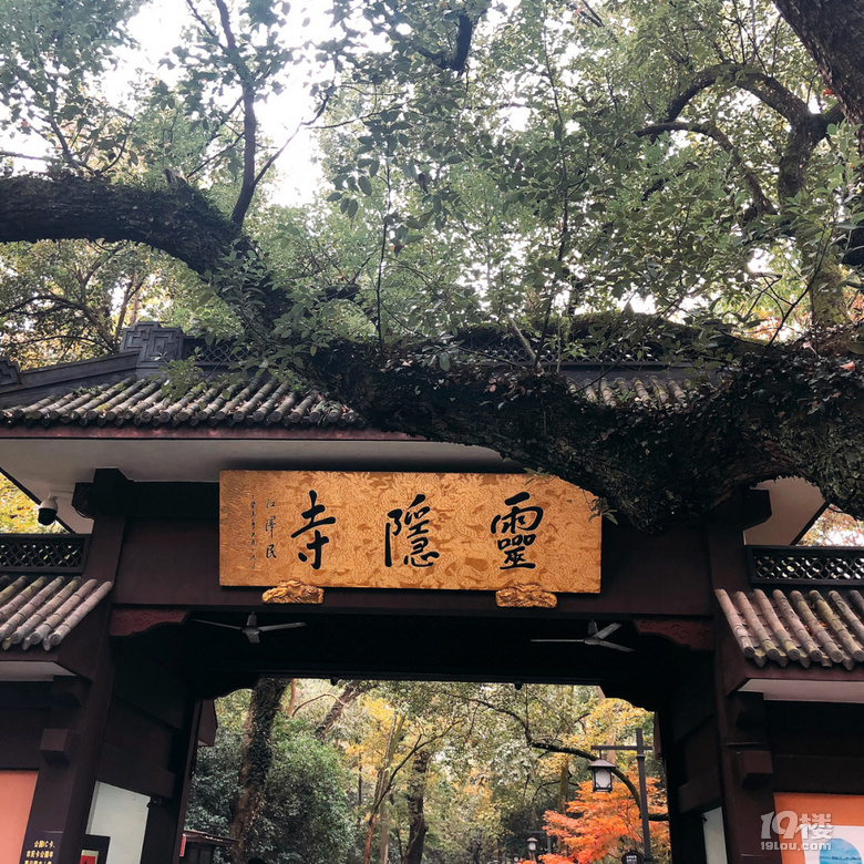 【2020晒游记】杭州佛系玩法，这些地方门票十元，美食五元无限续