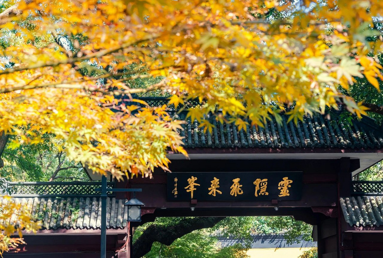 一到秋天,杭州就成了臨安