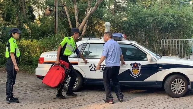 爸妈急疯，12个孩子接连走失！杭州景区又现崩溃一幕
