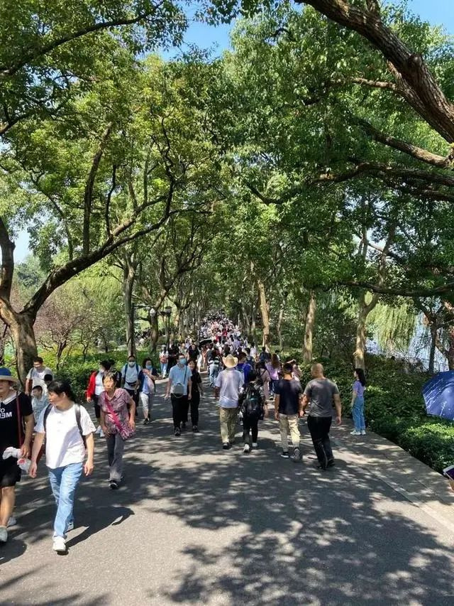 爸妈急疯，12个孩子接连走失！杭州景区又现崩溃一幕