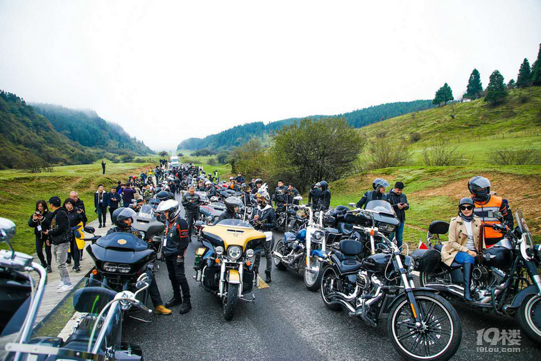 霸气！300辆哈雷机车“骑”聚仙女山，国内尚属首次