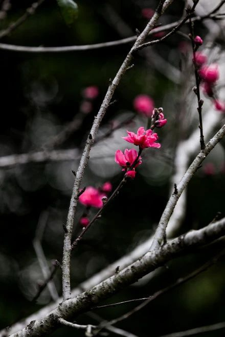 廈門又一打卡圣地!效果圖驚艷曝光!拍大片原來這么簡單~