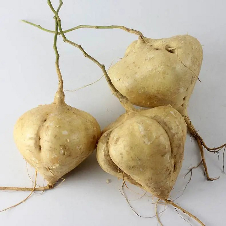 浙江有人吃了这种"豆子",神志不清9小时,病情危急!