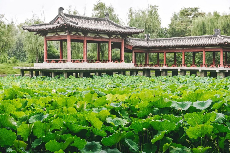 這個秋天的第一次旅行,我想要去鞏義!