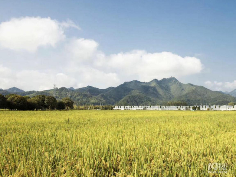 探索开化，甜蜜之旅