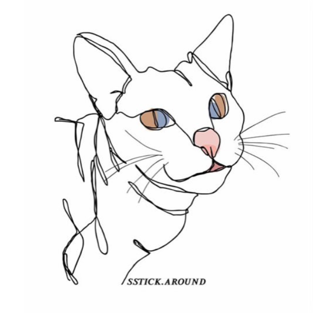 那些说我家猫眼睛不吉利的人现在被美哭了