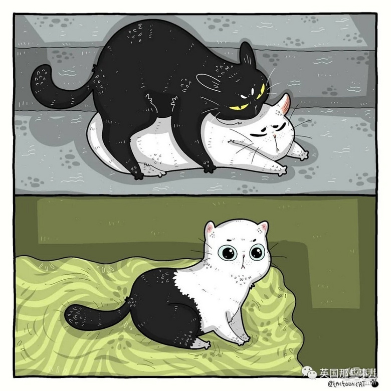 画师将各种沙雕猫猫图卡通化,这搞笑的可爱画风,也太魔性啦