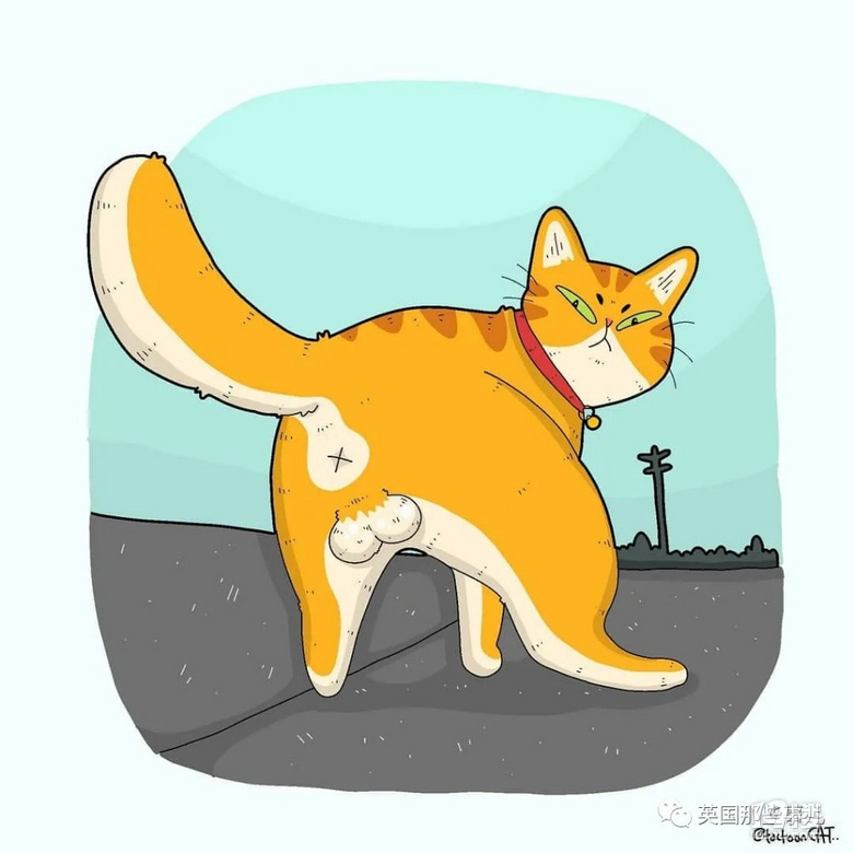 画师将各种沙雕猫猫图卡通化,这搞笑的可爱画风,也太魔性啦