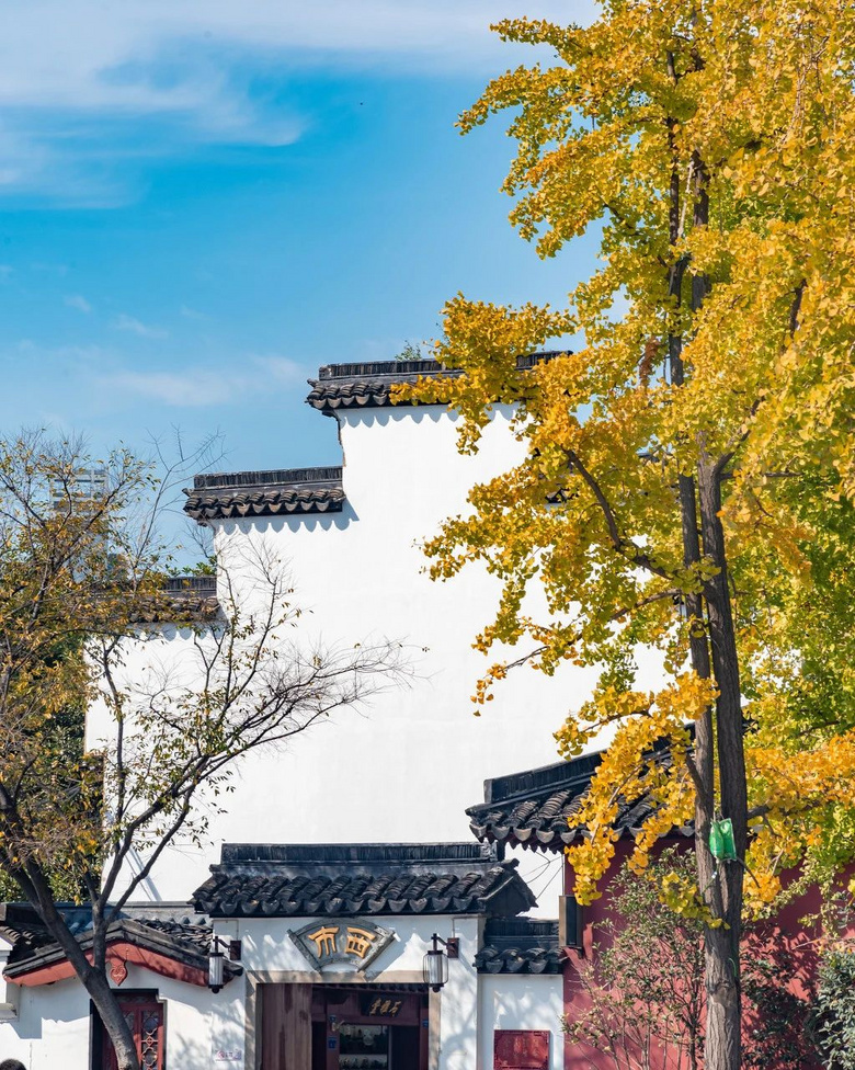 11月,千萬(wàn)別和南京的秋天比美,簡(jiǎn)直逼瘋攝影師