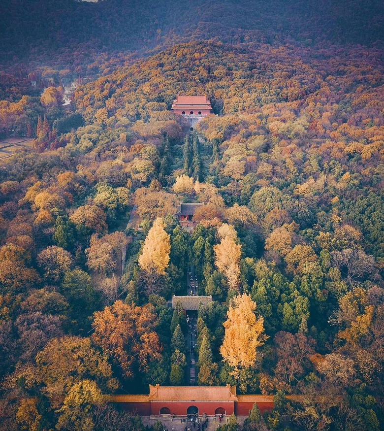 11月,千萬(wàn)別和南京的秋天比美,簡(jiǎn)直逼瘋攝影師