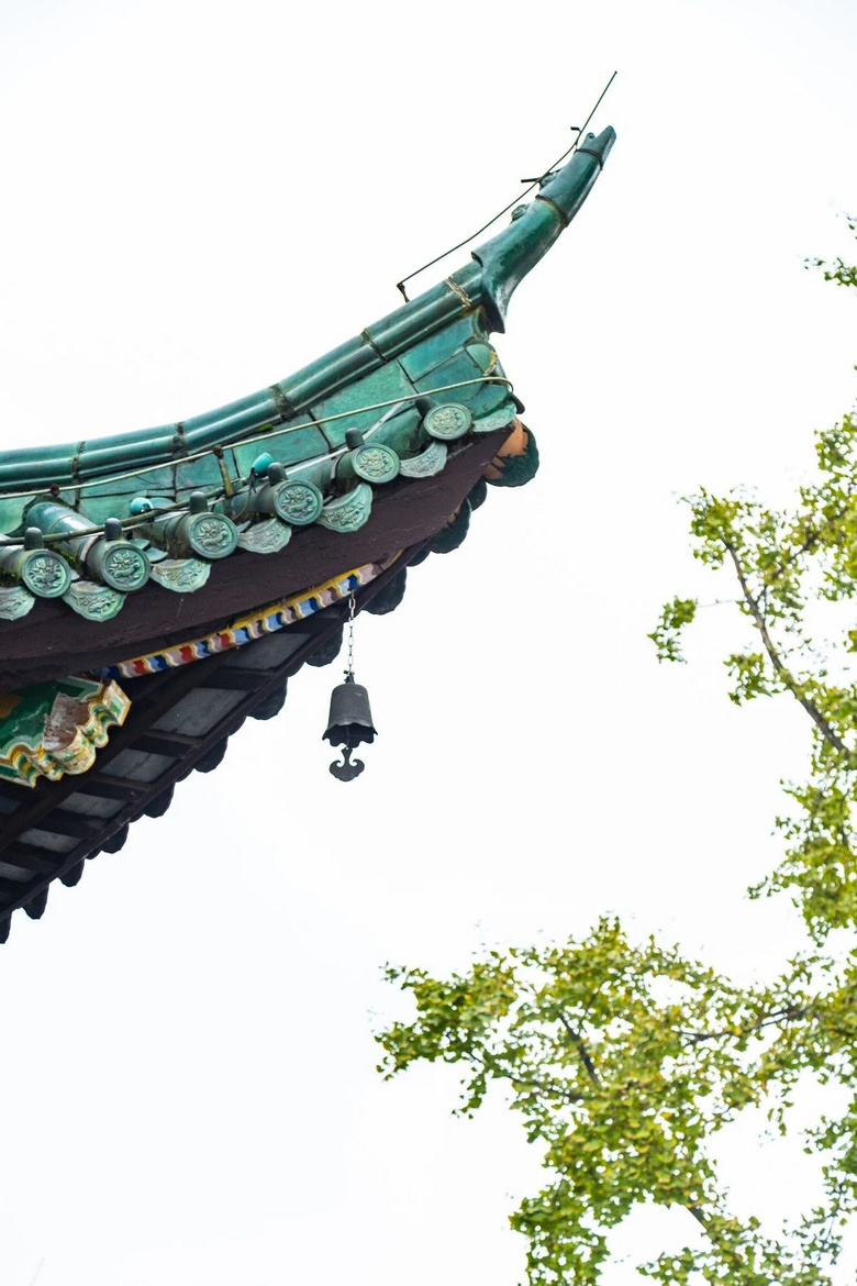 重慶主城最高觀景臺(tái)開放,免費(fèi)登頂!
