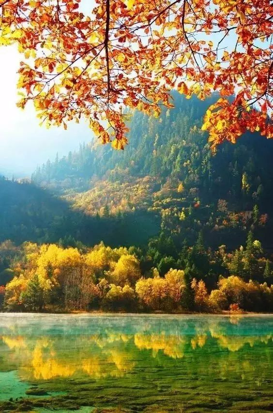 11月錯過了亞洲最大紅葉區(qū),就相當于錯過了整個秋天!