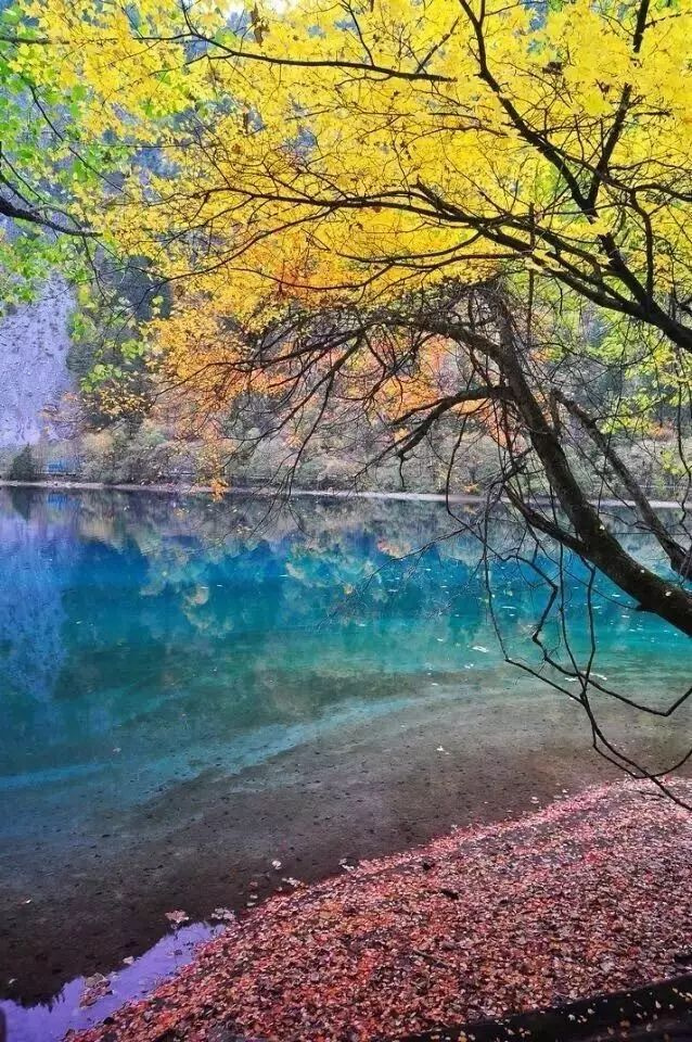 11月錯過了亞洲最大紅葉區(qū),就相當于錯過了整個秋天!