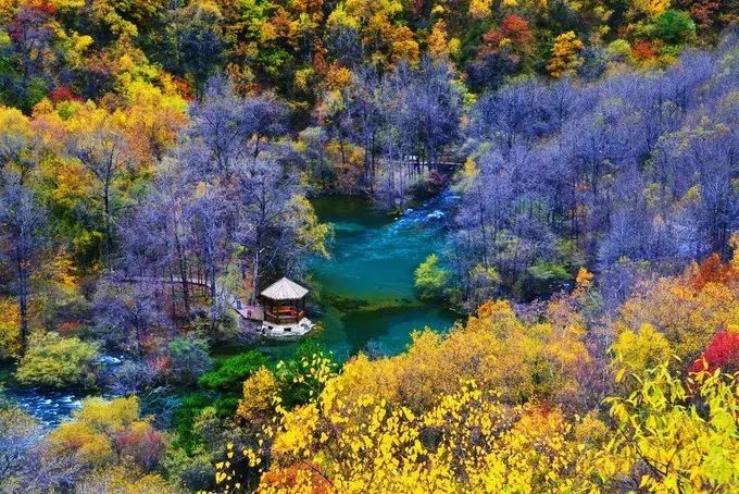 11月錯過了亞洲最大紅葉區(qū),就相當于錯過了整個秋天!