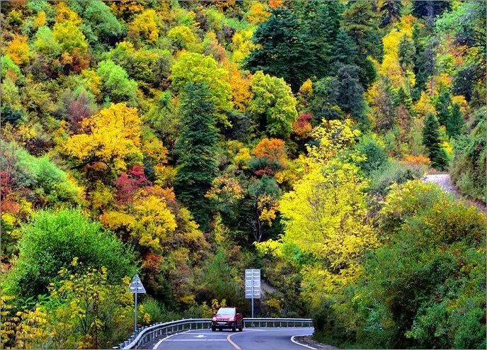 11月錯過了亞洲最大紅葉區(qū),就相當于錯過了整個秋天!