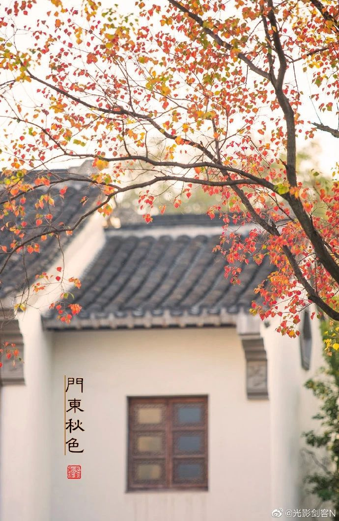 11月,千萬(wàn)別和南京的秋天比美,簡(jiǎn)直逼瘋攝影師