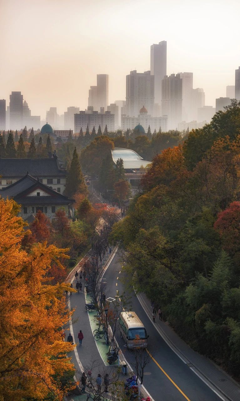 11月,千萬(wàn)別和南京的秋天比美,簡(jiǎn)直逼瘋攝影師