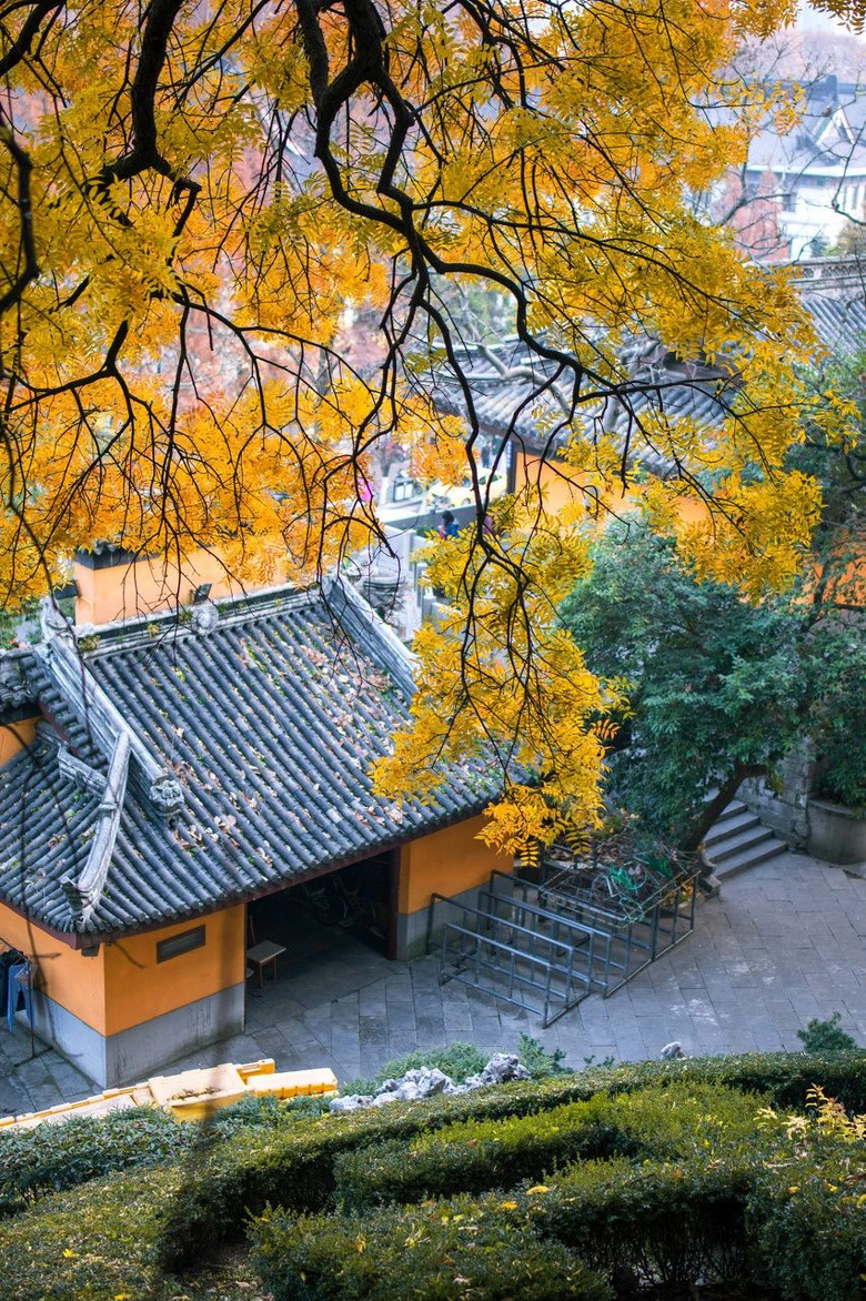 11月,千萬(wàn)別和南京的秋天比美,簡(jiǎn)直逼瘋攝影師