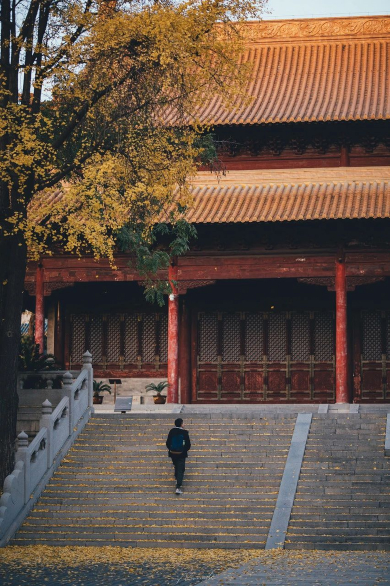 11月,千萬(wàn)別和南京的秋天比美,簡(jiǎn)直逼瘋攝影師