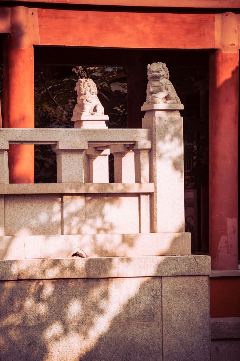 11月,千萬(wàn)別和南京的秋天比美,簡(jiǎn)直逼瘋攝影師