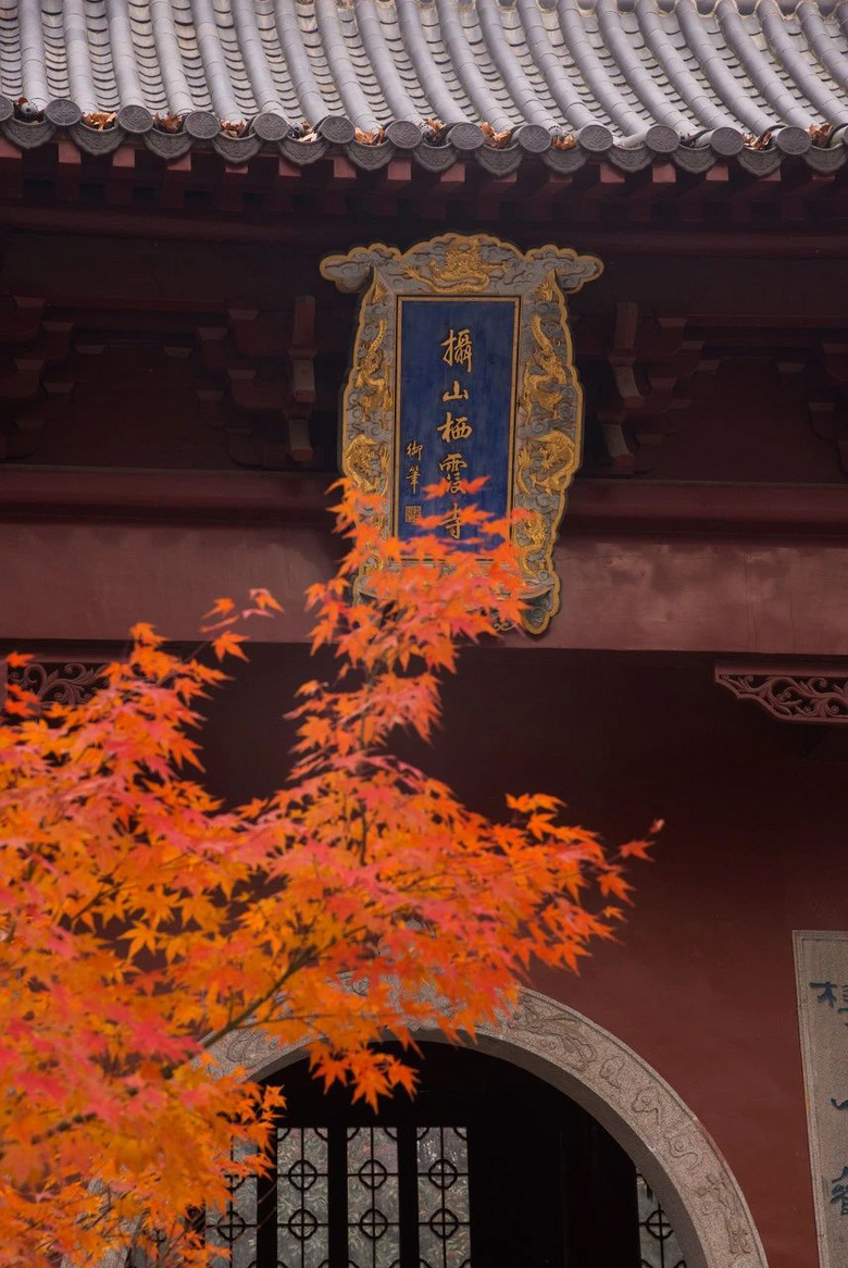 11月,千萬(wàn)別和南京的秋天比美,簡(jiǎn)直逼瘋攝影師
