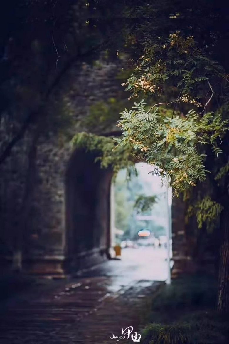 11月,千萬(wàn)別和南京的秋天比美,簡(jiǎn)直逼瘋攝影師