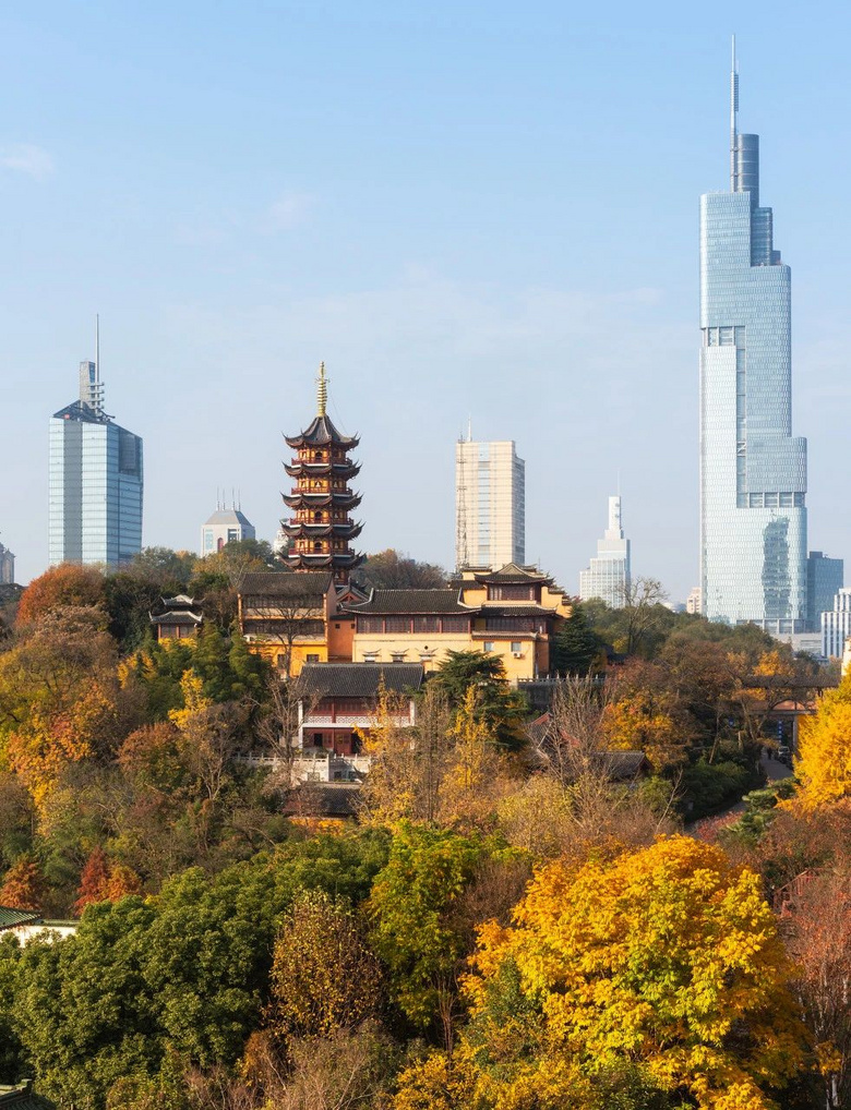 11月,千萬(wàn)別和南京的秋天比美,簡(jiǎn)直逼瘋攝影師