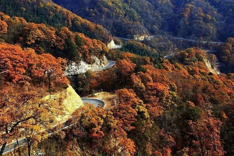 隱藏的賞秋勝地!楓葉如火、晨霧似海,去這里遇見(jiàn)最原始的秋色!