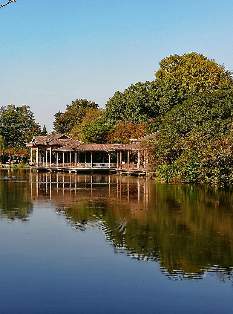 秋思-风景照-19摄区-杭州19楼