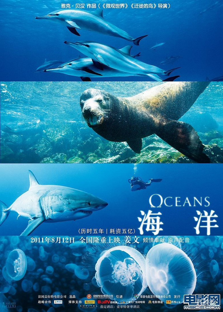 Ocean纪录片图片