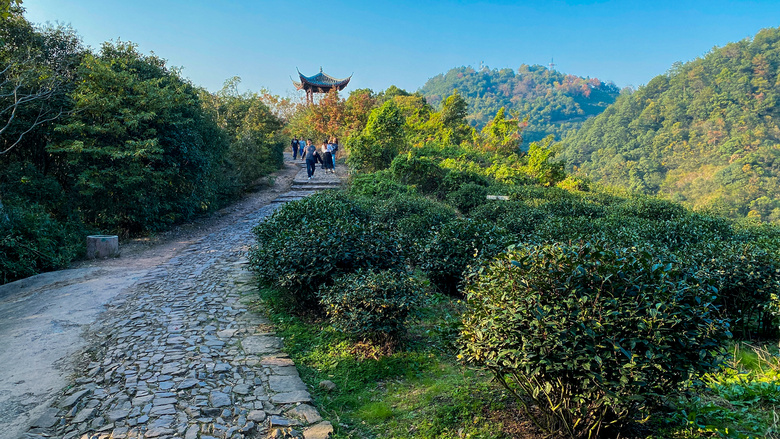 秋高气爽登山远眺,云栖竹径至龙井村的"十里琅珰"