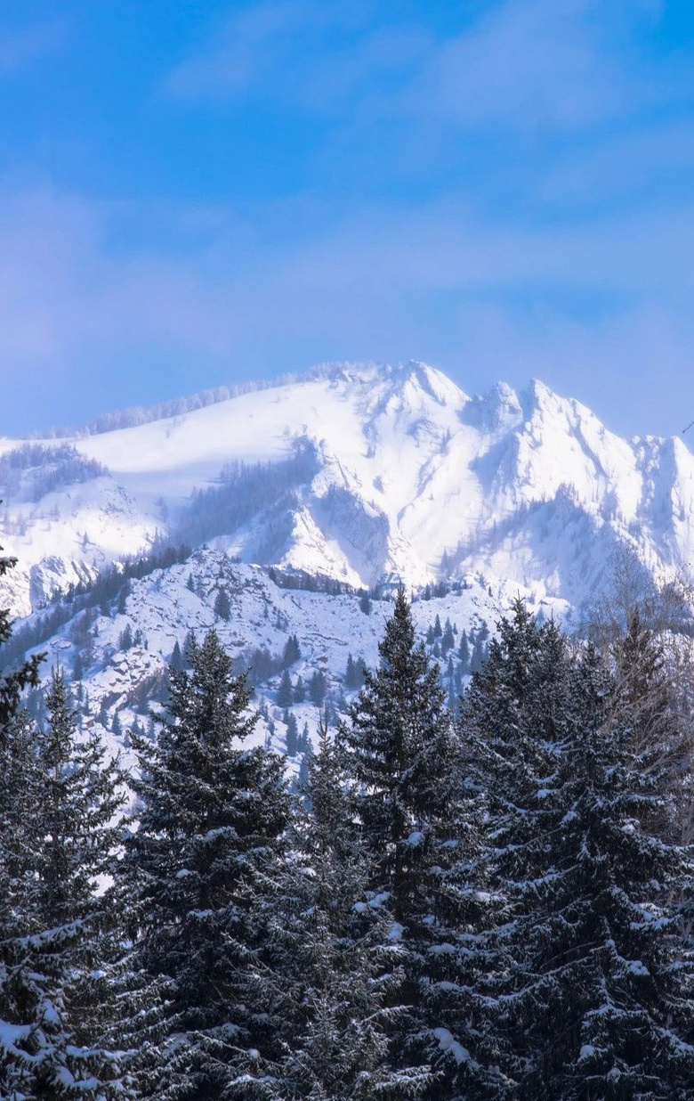 沙漠居然下雪了?大雪后的新疆,就这样美得毫不费力!