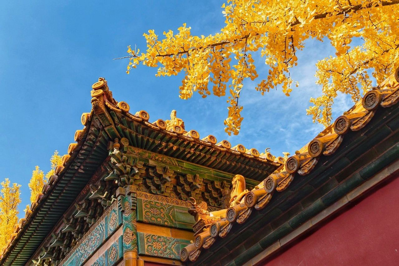 中國最美季節(jié)進(jìn)行時:南北方的秋天,哪個更美?