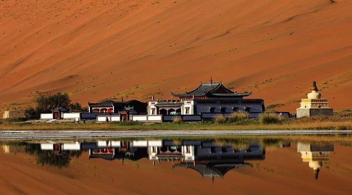 金色沙漠、粉紅湖泊、絕美胡楊…這個(gè)五彩繽紛的人間秘境美翻了!