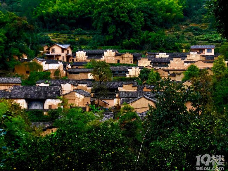 绿树村边合/青山郭外斜