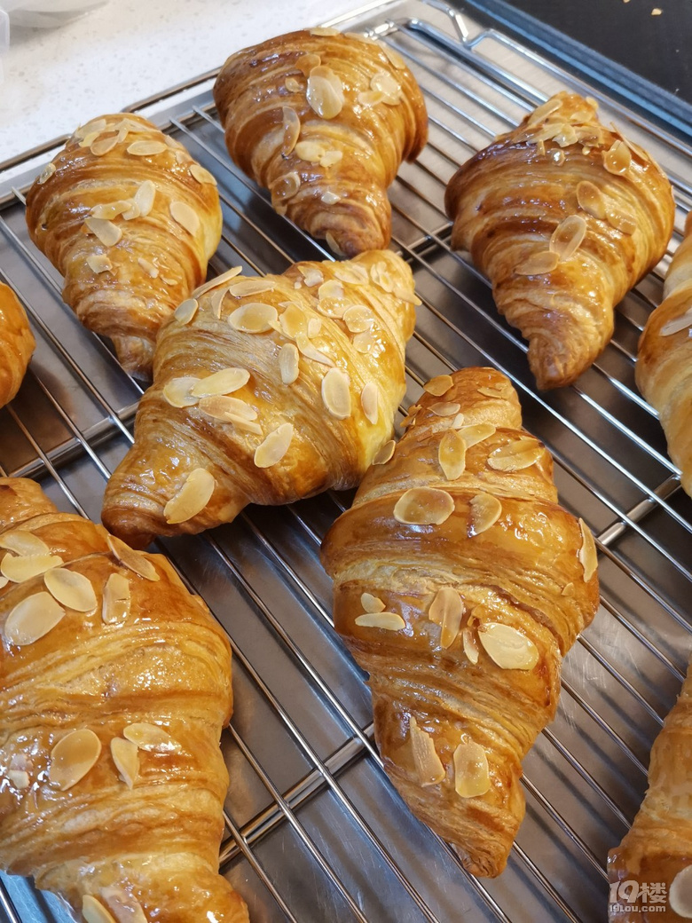 枫糖可颂从开酥到出炉
