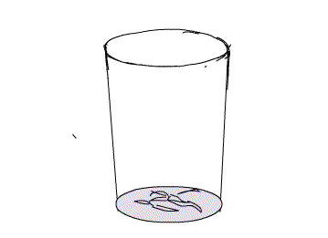 r(sh)ܲܺˮf(xi)t(y)Ժνo˴