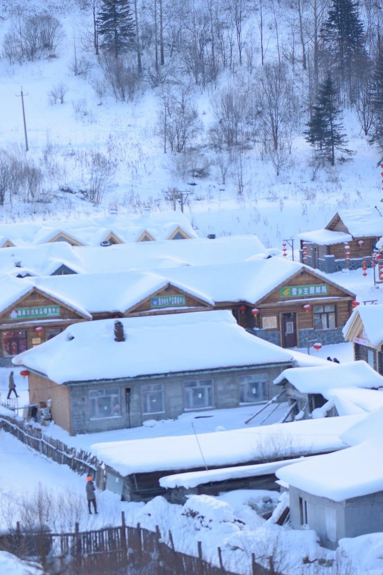 "看了北方的雪,忽然就想恋爱了"