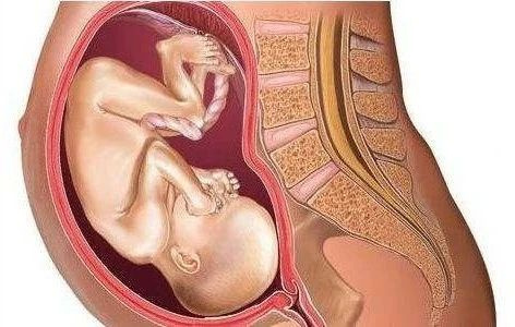 吉娜花式顯擺被打臉！熱衷秀腰的她終于翻車了…