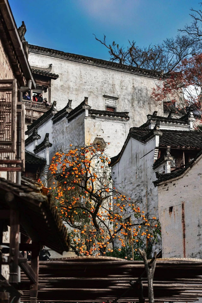 盘点南方秋天好看的地方没她可说不过去