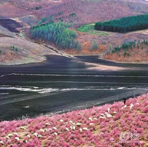 都在說要“吃土”了,可你真的了解土嗎?